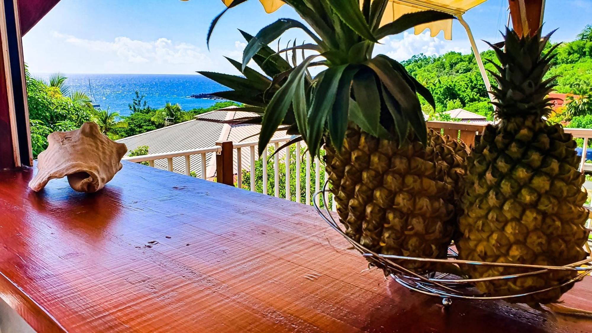 Bungalow Océanique: Vue Mer à Bouillante avec Wi-Fi Villa Exterior photo