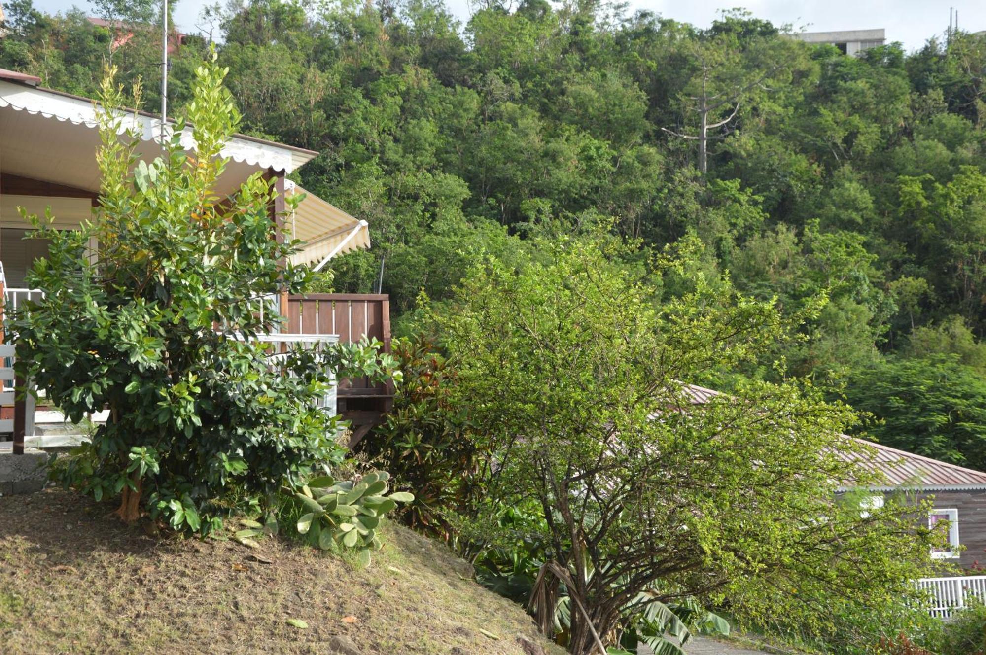 Bungalow Océanique: Vue Mer à Bouillante avec Wi-Fi Villa Exterior photo